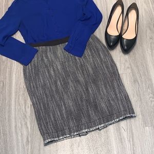 The Limited Lined Pencil Skirt